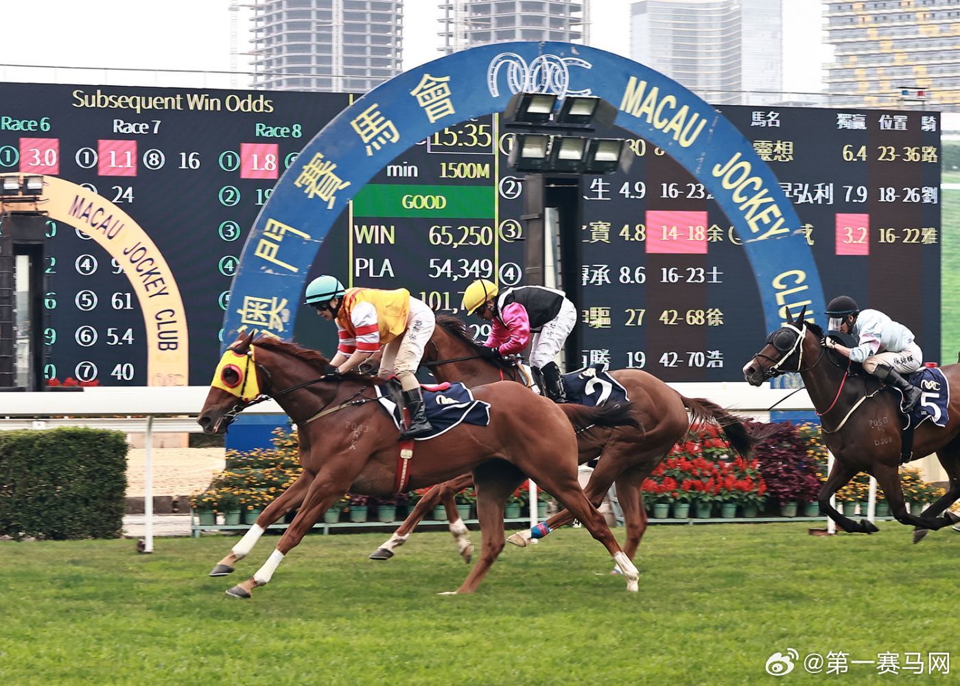 看香港正版精準(zhǔn)特馬資料,探索香港正版精準(zhǔn)特馬資料的世界