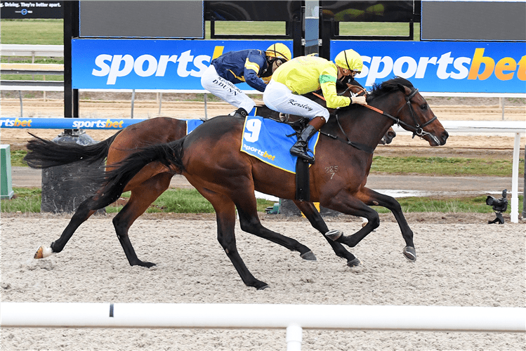 新澳今天開什么特馬,新澳今日賽馬結(jié)果揭秘，探尋特馬的勝利之路