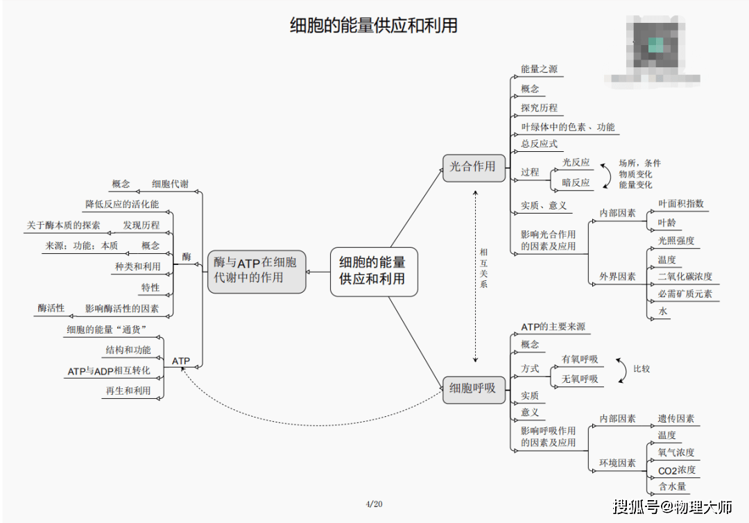 白小姐三肖三期必出一期開獎哩哩,白小姐三肖三期必出一期開獎哩哩——揭秘彩票神話與真實面貌