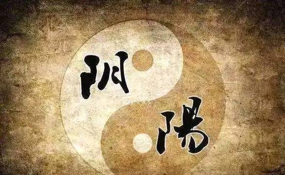 管家婆最準(zhǔn)一碼一肖,管家婆最準(zhǔn)一碼一肖，揭秘神秘預(yù)測背后的真相